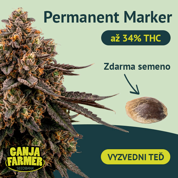 Dołącz do newslettera