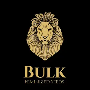 Bulk Feminized Seeds